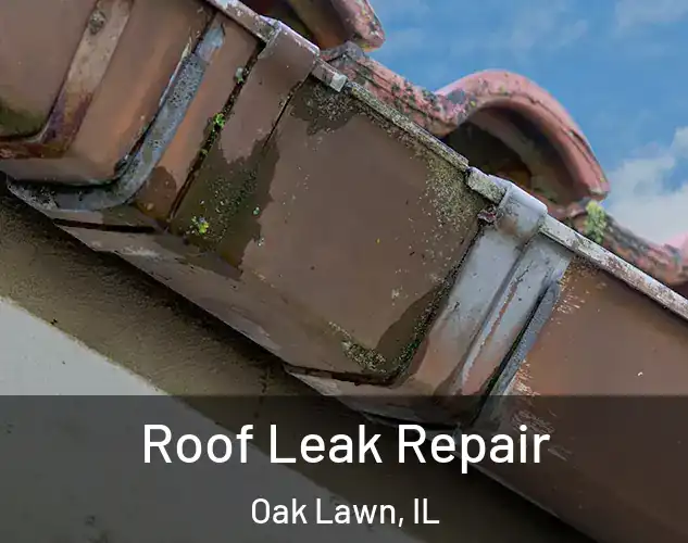 Roof Leak Repair Oak Lawn, IL
